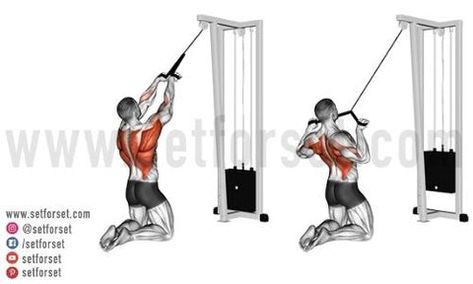 21 Best Cable Back Exercises for Muscle Mass & Strength - SET FOR SET Cable Back Exercises, Cable Back Workout, Cable Deadlift, Back Cable Workout, Ideal Weight Chart, Exercises For Strength, Muscular Back, Back Day Workout, Cable Workout