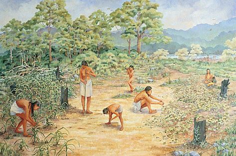 Food for thought: Why did we ever start farming? Hunting And Gathering Society, Tennessee Painting, Columbian Exchange, Woodland Indians, Climate Warming, Cumberland River, Early Humans, Tennessee River, Animal Bones