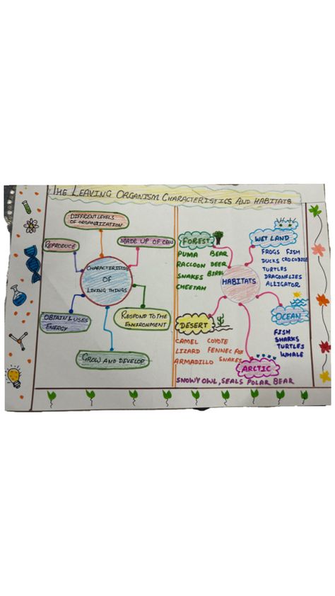 Science mind map Science Mind Map, Fennec Fox, Snowy Owl, Mind Map, Polar Bear, Deer, Mindfulness, Science, Map