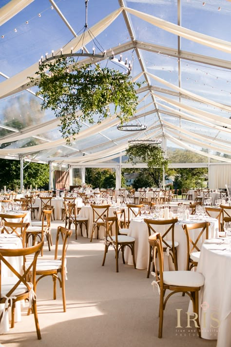 Outdoor Tented Wedding Reception, Ivy Wedding Decor, Greenery In Wedding Tent, Wedding Venue Chandeliers, Clear Tented Wedding Reception, Wedding Tent Greenery And Lights, Clear Tent With Lights And Greenery, Golf Course Tent Wedding, Outdoor Tent Wedding