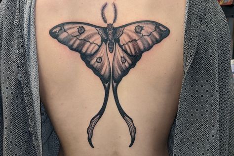 Calf Tattoo Design, Lunar Moth Tattoo, Luna Moth Tattoo, Private Tattoo Studio, Calf Tattoo Men, Wrist Tattoos Girls, Moth Tattoo Design, Butterfly Back Tattoo, Simple Tattoos For Women