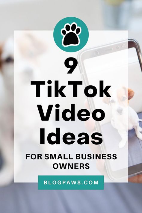 person taking a photo of a dog on their smartphone | 9 tiktok video ideas for small business owners Tiktok Video Ideas For Small Businesses, Small Business Tiktok Video Ideas, Tiktok Business Content Ideas, Tiktok Video Ideas, Business Tiktok, Tiktok Growth, Ideas For Small Business, Tiktok Tips, Social Media Content Strategy