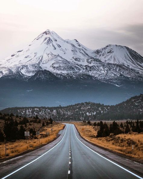 Mount Shasta California, Shasta California, Road Trip Photography, Mt Shasta, Google Search Console, Mount Shasta, California Photos, Scenic Roads, Mt Fuji