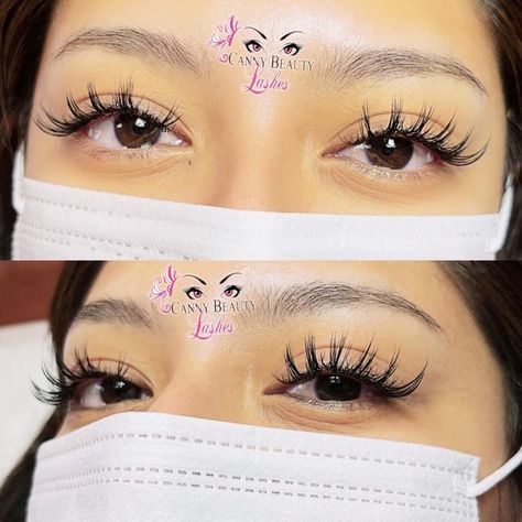 Canny Beauty Lashes|LA on Instagram: "💥6D Anime set eyelash extensions ( Top Cute & wispy style ) done ✅ by @cannybeautylashes First time New client special get 35% OFF 1⃣️LOCATION Book appointment Now Call 📞 6267681359 Text 6268611355 📍2215 San Gabriel blvd #B Rosemead CA 91770 2⃣️LOCATION Book appointment Now Call 📞Or Text ：6268860248 📍54 E Live Oak Ave Arcadia CA 91006 #cannybeautylashes #anime#sunflower #eyelashextensions #lash #volum #minklashes #eyelook #eye #beauty#lalashes #la # Anime Sunflower, Anime Set, Book Appointment Now, Beauty Lash, Book Appointment, Wispy Lashes, San Gabriel, Live Oak, Lash Artist