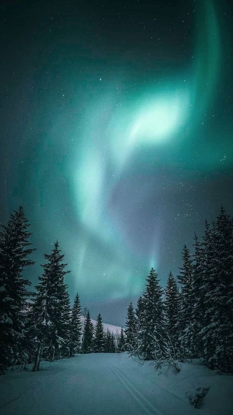 Northern Lights Wallpaper, Pastel Nature, Northern Lights Photography, Tromso Norway, Nature Iphone Wallpaper, Northern Lights (aurora Borealis), Aurora Borealis Northern Lights, Lit Wallpaper, Emotional Photography