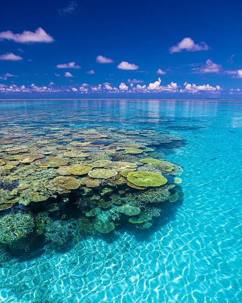 📍 Hatoma Island, Okinawa Captured by @atsushi_okiphoto Follow @his_travel to discover Japan 🌸 ------------------------------------------------- Destination Japan by HIS International Tours ------------------------------------------------- #DestinationJapan #HatomaIsland #OkinawaPrefecture #HiddenGem #ScenicOkinawa #PristineBeaches #CrystalClearWaters #JapaneseIslands #NaturalBeauty #ExploreOkinawa #VisitHatoma #TravelJapan #SereneEscape #StunningViews #CulturalHeritage #PeacefulRetreat #Tr... Okinawa Japan, Japan Aesthetic, Aesthetic Japan, Remote Island, Beautiful Scenery Nature, Tropical Paradise, Okinawa, Asia Travel, Travel Aesthetic