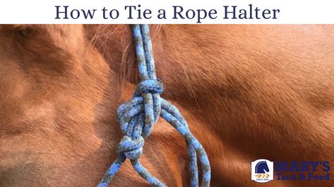 Visit Mary's Tack and Feed to learn how to tie a rope halter, plus find other helpful tips and tricks to improve your horsemanship and horse care routines. How To Tie A Horse Up, How To Tie Up A Horse, Diy Rope Halters For Horses, Halter And Lead Rope, Horse Halter And Lead Rope, Rope Halter, Horse Care, Helpful Tips, Tips And Tricks