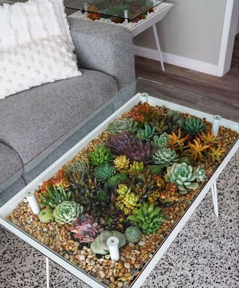 Terrarium Table, Shadow Box Coffee Table, Home Flower Decor, Bathroom Counter Decor, Coffee Table Makeover, Inside Garden, Garden Coffee Table, Planter Table, Indoor Design