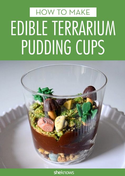 Edible terrarium cups complete with rocks, mushrooms and succulents will make you forget all about dirt cups Mushroom Candy Diy, Fairy Dirt Cups, Terrarium Cake Ideas, Nature Themed Food, Terrarium Cake, Edible Terrarium, Nature Dessert, Dirt Cups Dessert, Pudding Cup Recipes