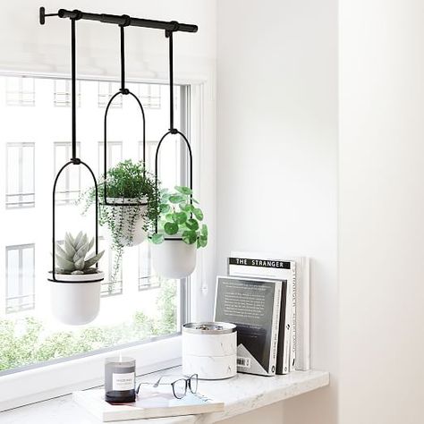 Window Garden Ideas, Indoor Plants Bedroom, Window Herb Garden, Low Maintenance Indoor Plants, Plants Hanging, Window Plants, Fusion Design, Kitchen Herbs, Indoor Herb Garden