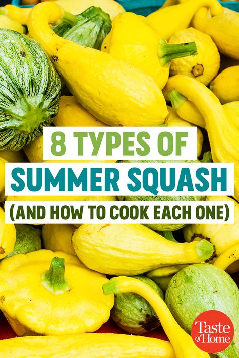 Move over zucchini -- there are lots of delectable squashes in gardens and groceries right now. Star Squash Recipes, Squashes Types Of, Different Types Of Squash Summer, Big Squash Recipes, Types Of Summer Squash, Golden Egg Squash Recipes, Mini Squash Recipes, How To Cook Crookneck Squash, Green Summer Squash Recipes