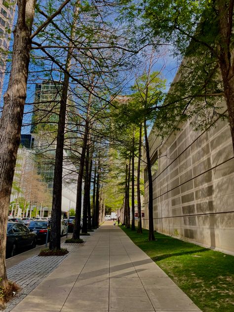 #tree #downtown #city #citylife #green #plants #dallas #texas #sky #thingstodo #weekend #outside #spring #aesthetic #sunshine Dallas Tx Aesthetic, Dallas Texas Aesthetic, Dallas Aesthetic, Aesthetic Sunshine, Texas Aesthetic, Moving To Dallas, Dallas City, Dream Future, Spring Pictures