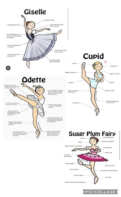 Human Drawings, Ballet Terms, Ballet Basics, Sugarplum Fairy, Ballet Positions, Plant Styling, Ballet Lessons, Ballet Technique, Ballet Moves