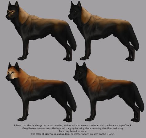 Skyrim Werewolf, Rare Dog Breeds, Canine Art, Wolf Design, Pretty Animals, Animals Artwork, Creature Concept, Dog Art, Character Illustration