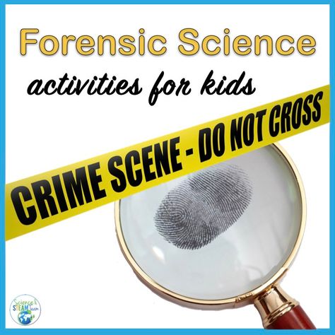 Forensic Science Experiments, Forensic Science Activities, Fingerprint Analysis, Worksheets For Middle School, Steam Activity, Science Camp, Teen Programs, Kids Worksheets, Public Libraries