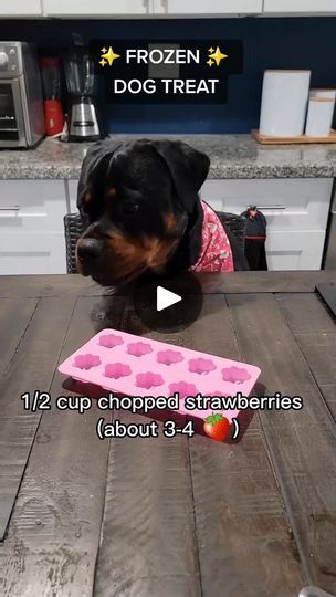 Snacks For Dogs Homemade, Puppy Treats Homemade, Snacks For Dogs, Foods Dogs Can Eat, Doggy Treats, Easy Dog Treat Recipes, Dog Biscuit Recipes, Dog Remedies, Easy Dog Treats