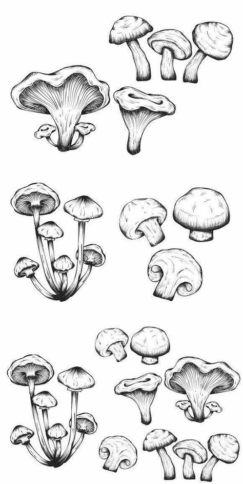 Mushroom Tattoos, Mushroom Drawing, Desenho Tattoo, Sunset Landscape, Arte Inspo, Arte Sketchbook, Mushroom Art, Flash Art, Drawing Set