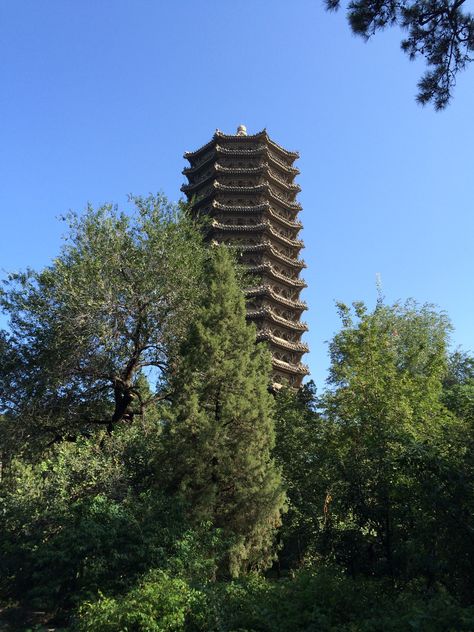 Pagoda at Peking University in Beijing. August 2014. Peking University, Study Abroad, Beijing, University, Plants, Travel, Quick Saves