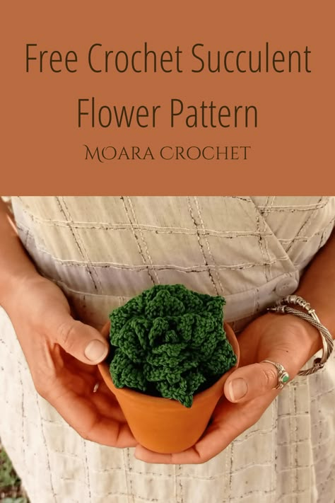 Free Crochet Succulent Pattern - Moara Crochet Make your own crochet succulent with my easy step by step crochet patterns to make your own crochet forever plant. Many more free crochet patterns from Moara Crochet #crochetsucculent #crochetsucculentplant #freecrochetflower Succulent Pattern, Crochet Succulent, Pattern Step By Step, Crochet Coasters Free Pattern, Crochet Cactus, Crochet Coaster Pattern, Step By Step Crochet, Crochet Plant, Crochet Poncho Patterns