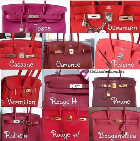 Hermes Reds Hermes Color Chart, Hermes Birkin Colours, Hermes Colors, Hermes Birkin Handbags, Birkin Handbags, Red Handbag, Handbag Heaven, Hermes Handbags, Trending Handbag