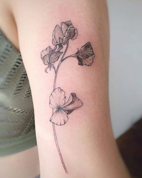 Top 57+ Best Sweet Pea Flower Tattoo Ideas - [2021 Inspiration Guide] Daisy And Sweet Pea Tattoo Birth Flower, Sweet Pea Flowers Tattoo, Sweet Pea Tattoo Design, Sweat Pea Tattoo, Pea Flower Tattoo, Sweet Pea Flower Tattoo, Pea Tattoo, Nana Tattoo, Sweet Pea Tattoo