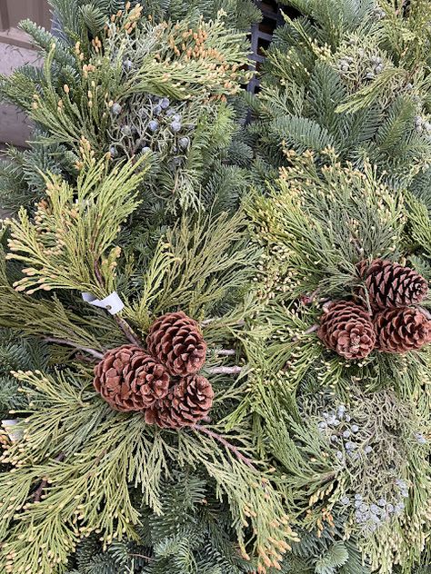 These centerpieces with Cedar, Pine, Juniper and pine cones make a beautiful addition to a mantle, dinner table to entryway #centerpieces #holidaycenterpieces #mantledecorations #holidaydecorations Holiday Centerpieces, Mantle Decor, Dinner Table, Pine Cones, Entryway, Holiday Decor