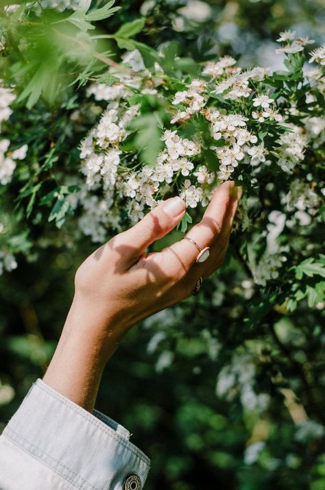 Spring Portraits, Hand Photography, Spring Photos, Holistic Beauty, Spring Photography, Spring Aesthetic, Nature Tattoos, Spring Vibes, Spring Inspiration