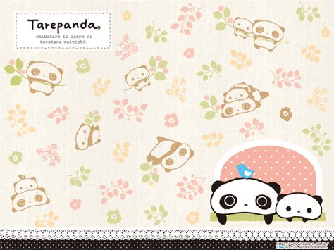 San-x characters - San-x Photo (28941812) - Fanpop San X Wallpaper, San-x Wallpaper, Asian Cartoon, Twt Banner, Lazy Panda, Magica Madoka, Love Panda, Panda Drawing, Profile Ideas