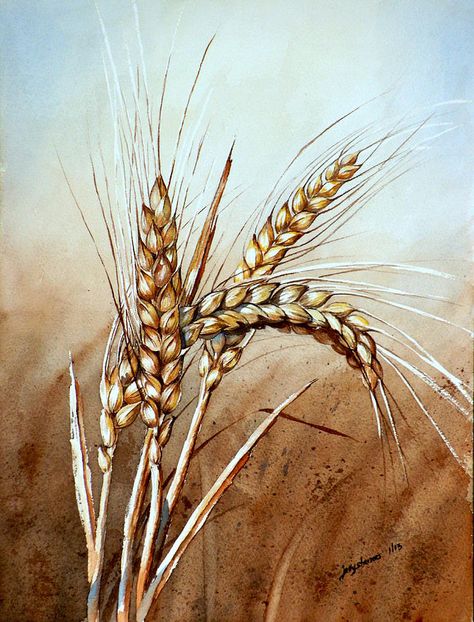 Wheat Drawing, Wheat Tattoo, Wheat Stalk, Image Nature, Wheat Fields, 그림 그리기, Beautiful Paintings, Painting Inspiration, Lany