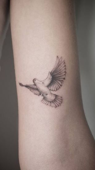 Dove Bicep Tattoo, Dove Collar Bone Tattoo, Mens Dove Tattoo Ideas, Morning Doves Tattoo, Men’s Dove Tattoo, Bird Tattoo Dove, Lion And Dove Tattoo, Different Bird Tattoos, Red Dove Tattoo