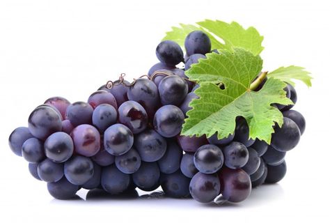 Grapes on a white | Premium Photo #Freepik #photo #food #leaf #nature #fruit Fruit Facts, Stuffed Grape Leaves, Types Of Salad, Vw Art, Sour Cream Sauce, Fruits Drawing, Clay Plates, Black Grapes, Fruit Photography