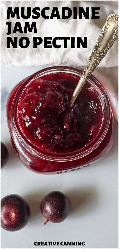 Learn how to make muscadine jam no pectin required! This homemade jam is a great way to use muscadine grapes in season, providing a delicious spread that's also rich in health benefits. Ideal for canning enthusiasts. Find more muscadine grape recipes, homemade grape jam from grapes, preserving muscadines, and Canning Fruit Recipes at creativecanning.com. Muscadine Jam, Muscadine Recipe, Fruit Preserves Recipe, Canning Fruit Recipes, Grape Jam Recipe, Muscadine Jelly, Muscadine Grapes, Pectin Recipes, Canning Jam Recipes