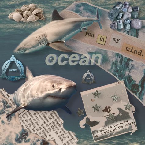 Requests welcome! WE KNOW WE ARE HUMAN! ★TAGS: Shark therian therianthropy therianthrope otherkin alterhuman theriotype otherlink copinglink otherhearted animalhearted kith kithtype kintype cladeotherian ocean board sea sharks animal quads quadrobics quadrobist gear art moodboard therianboard shiftboard★ (sharks are cool) - Some tags I'm not: antifur antitherian - >:( Shark Therian, Shark Moodboard, Shark Diagram Aesthetic, Ocean Shark Aesthetic, Ocean Aesthetic Whale Shark, Shark Sign, Sharks In Water Aesthetic, Sea Shark, Therian Stuff