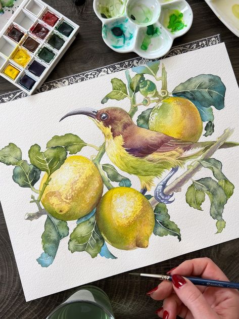 Anna Bucciarelli, Anna Bucciarelli Watercolor, Gouache And Watercolor, Illustration Bird, Feather Painting, Watercolor Sketchbook, Fruit Painting, Sweet Peas, 수채화 그림