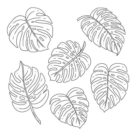 Free Vector | Tropical leaf and flower collection Monstera Leaf Outline, Monstera Tattoo, Leaf Coloring Page, Tropical Flower Arrangements, Leaf Outline, Outline Illustration, Flat Sketches, Flower Collection, Leaf Coloring