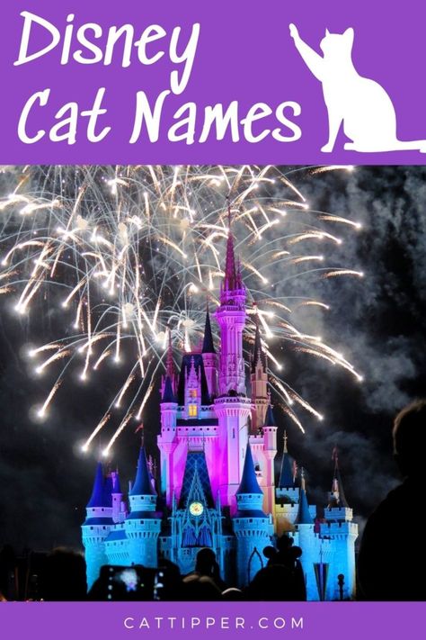 Disney Cat Names - CatTipper Disney Animal Names, Badass Cat Names, Disney Pet Names, Disney Cat Names, Halloween Names For Cats, Boy Cat Names, Jungle Book Characters, Girl Cat Names, Unique Cat Names