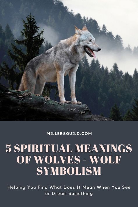 5 Spiritual Meanings of Wolves – Wolf Symbolism Animals Symbolism, Wolf Meaning, Wolf Symbolism, Wolf Paw Print, Spirit Animal Meaning, Animal Meanings, Wolf Paw, Spiritual Animal, Color Symbolism