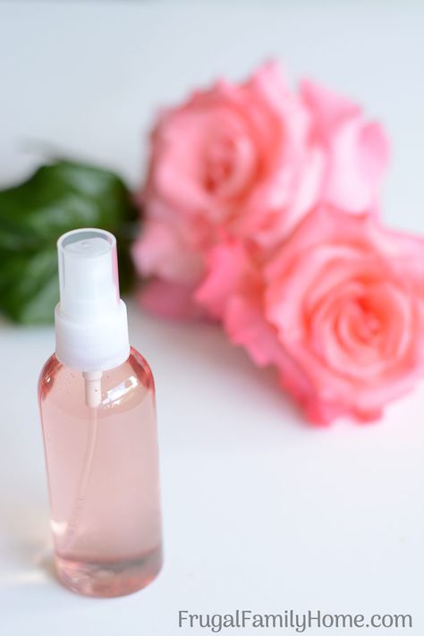 Rose Water Recipe, Homemade Rose Water, Rose Water Diy, Truck Garden, Alpine Plants, Diy Roses, Plant Garden, Garden Types, Simple Rose