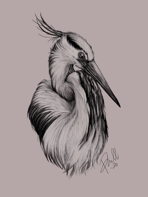 Heron Tattoo Design, Crane Sketch, Crane Drawing, Heron Tattoo, First Tattoo Ideas, Baby Tattoo Designs, Neo Tattoo, Petit Tattoo, Light Tattoo