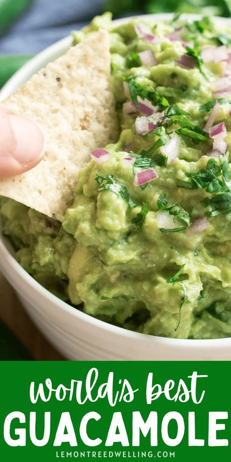 The BEST Guacamole - made with just a handful of ingredients! This recipe is EASY to make, has the perfect of flavors, and makes a delicious addition to any Mexican meal. Enjoy it with tortilla chips, veggies, nachos, or your favorite sandwich. Guaranteed to become a fast favorite! Guacamole Seasoning Recipe, Easy Guacamole, Guacamole Recipe, Spread Recipes, Entertaining Recipes, Avocado Recipes, Salad Dressing Recipes, Party Food Appetizers, Best Appetizers