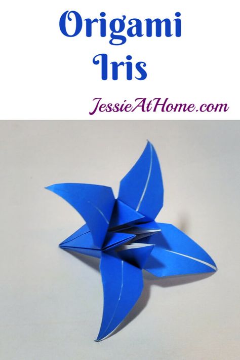 The origami iris will show off your paper-folding skills. Pair it with the origami stem and leaf, or make it one it's own in various sizes. #OrigamiIris #Iris #PaperIris #DIYIris #PaperFlower #OrigamiFlower #JapanesePaperFolding #Origami #PaperCrafting #OrigamiTutorial #Art #Crafts #DIY #JessieAtHome #JessieRayot Origami Stem, Origami Cup, Diy Origami Home, Diy Origami Home Decor, Origami Pumpkin, Origami Pig, Blue Origami, Montessori Art, Origami Patterns