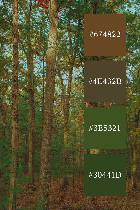 A woodland scene with tall trees and a mix of green and brown tones, creating a warm forest green and brown color palette. Forest Green And Brown Color Palette, Woodland Forest Color Palette, Color Palette Brown Green, Garden Colour Palette, Color Combination With Brown, Green Pallet Color, Forest Green Palette, Forest Color Scheme, Woodland Color Palette