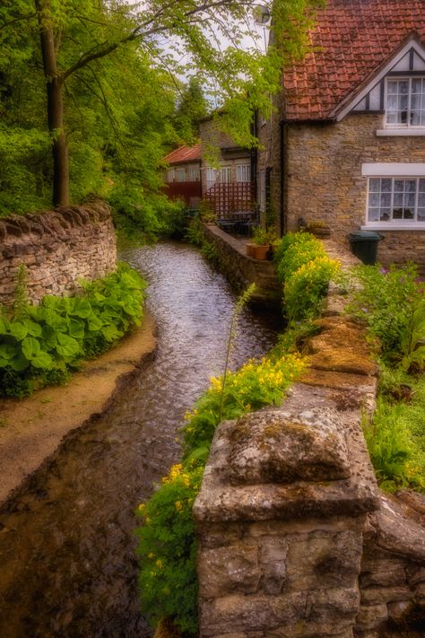 Thornton-le-Dale | Thornton-le-Dale is a village and civil p… | Flickr Thornton Le Dale, North York Moors National Park, North York Moors, Brown And Green, Yorkshire England, North Yorkshire, On The Edge, Yorkshire, The Edge