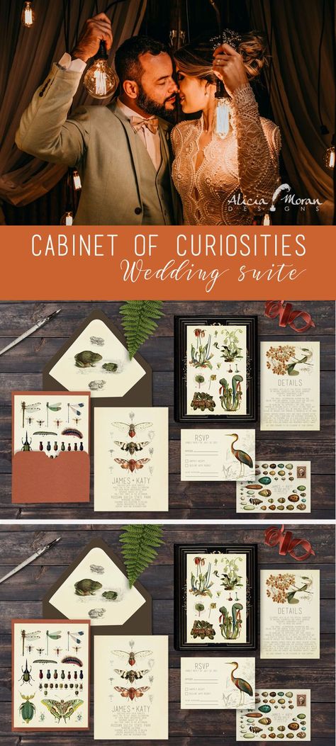 Vintage illustrations make this cabinet of curiosities suite so unique! From insects to carnivours plants, this is not your average, everyday wedding suite! Carnivours Plants, Insect Wedding, Bug Wedding, Spooky Wedding, Plant Bugs, Wedding Plants, Insect Collection, Science Illustration, Cabinet Of Curiosities