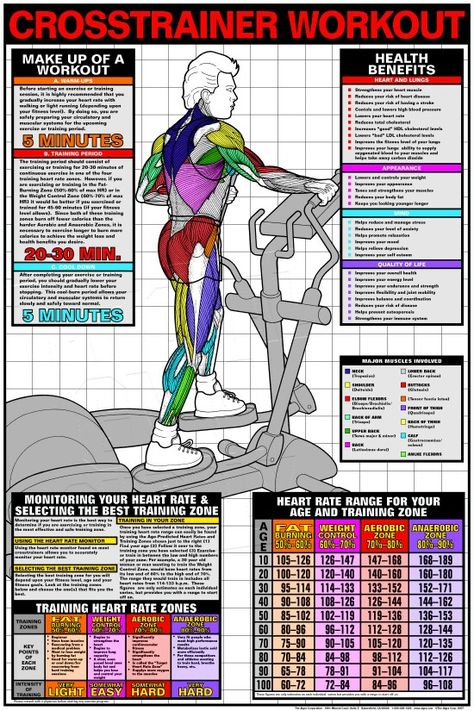 Crosstrainer workout Crosstrainer Workout, Stationary Bike Workout, Elliptical Workout, Workout Posters, Workout Chart, Muscle Training, Muscle Building, Cycling Workout, Fitness Planner