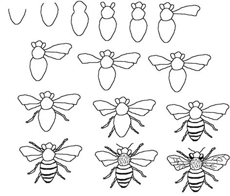 stappenplan bij tekenen Draw Insects, Bee Drawing, Draw Painting, Drawing Lesson, Drawing Tutorials For Kids, Soyut Sanat Tabloları, Pola Sulam, Bee Art, Arte Sketchbook