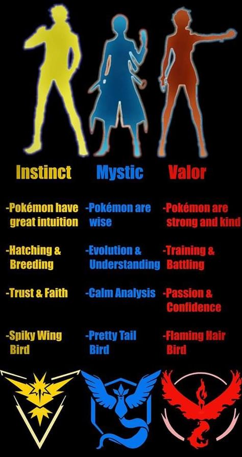 Pokemon Go Teams and basics of what each team is about. Pokemon Go Teams Leaders, Oh Ho, Fire Chicken, Team Valor, Team Mystic, Team Instinct, Gotta Catch Them All, Go Team, Pokemon Party