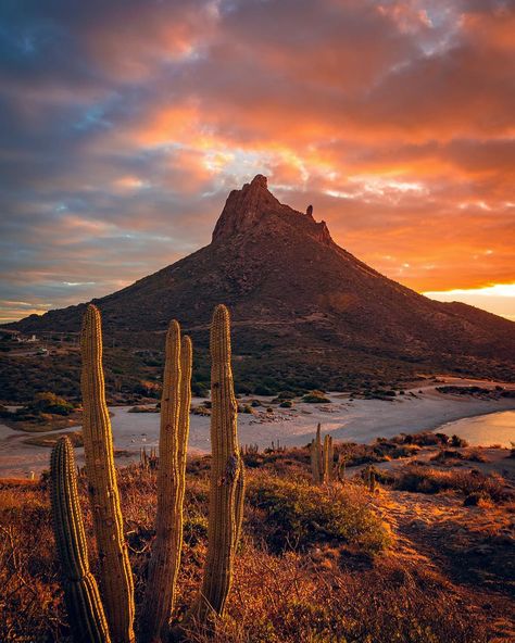 Desliza para ver la otra perspectiva del Cerro Tetakawi 👉 • • Amaneceres que enamoran en el estado de Sonora 🇲🇽 Si algún dia cambiara de… Baja California Mexico, Visit Mexico, O Reilly, Photography Pictures, Background Pictures, Mexico Travel, Travel Goals, Amazing Destinations, Central America