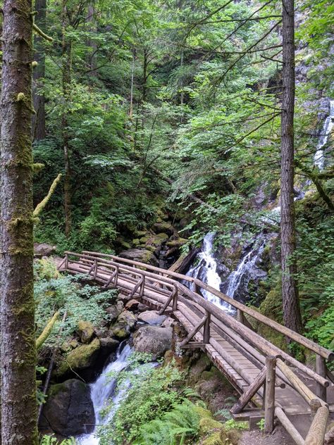 Hiking Waterfall Aesthetic, Waterfall Hike Aesthetic, Hiking Trail Aesthetic, Trails In The Woods, Bergman Brothers, Hiking Waterfall, Waterfall Hike, Summer Vision, Waterfall Trail