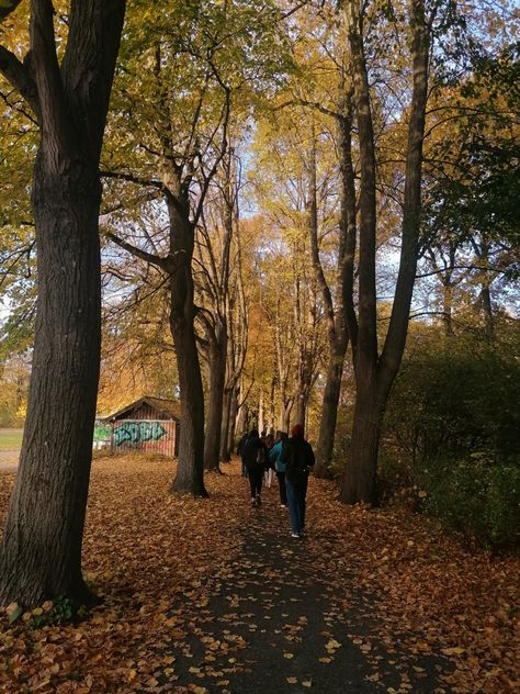 a lot of friends from denmark going on a long walk through a forest in a warm autumn weather Autumn In Denmark, Fall In Copenhagen, Copenhagen Fall Aesthetic, Autumn In Copenhagen, Denmark Autumn, Copenhagen Autumn, Copenhagen Vibes, Legoland Denmark, Copenhagen Aesthetic